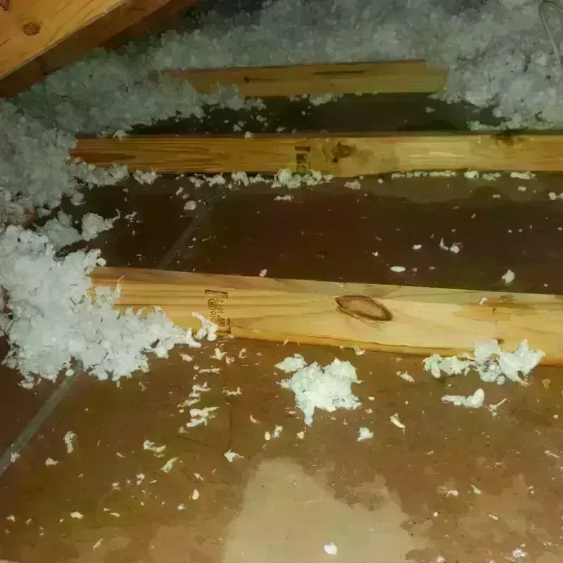 Attic Water Damage in Ladonia, AL